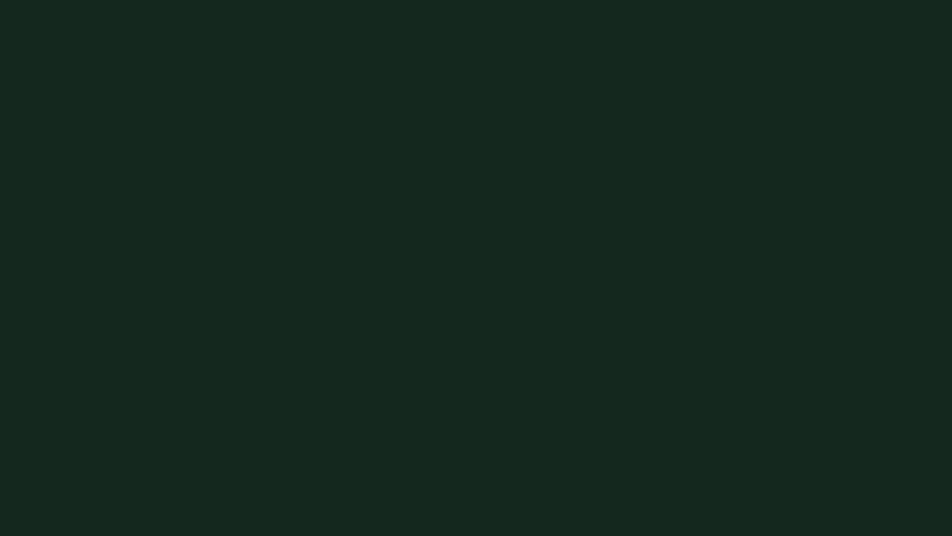 auth_bg_dark